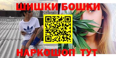 гидропоника Кингисепп